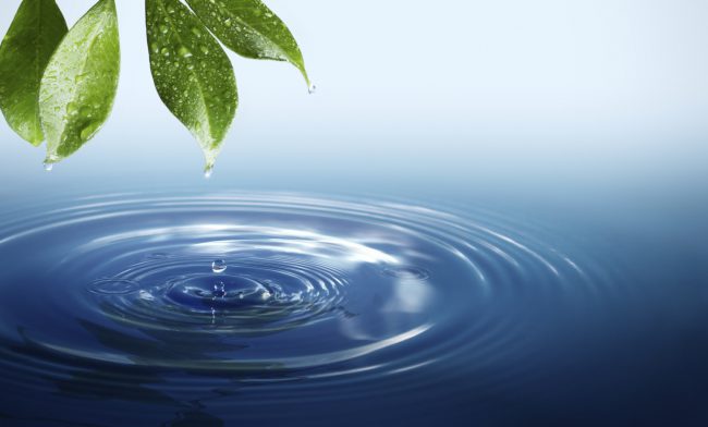 Любимівське СКХ заплатить більше мільйона гривень за самовільне використання води