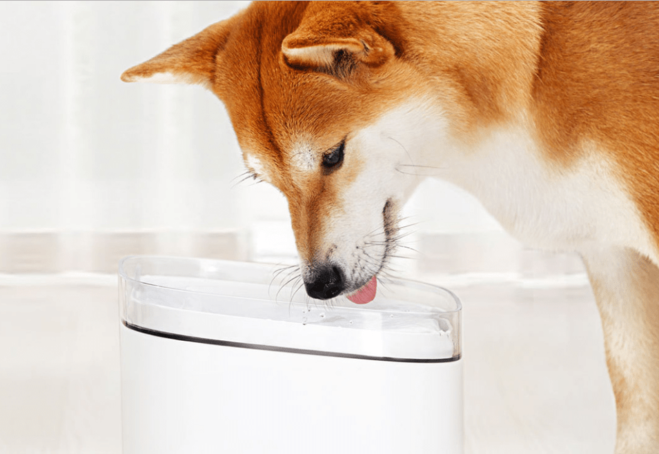 Сяоми выпустила диспенсер чистой воды для домашних животных
