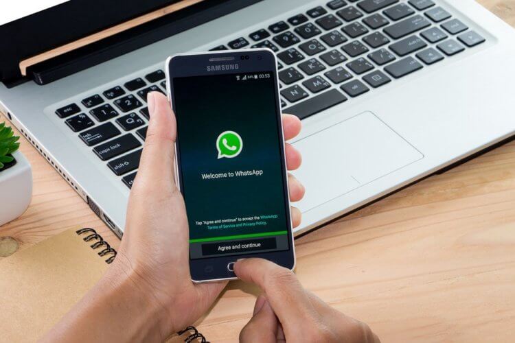 Нова версія WhatsApp містить сюрпризи