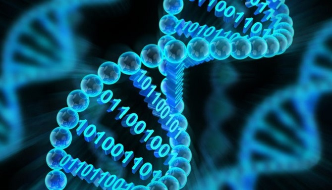 Вчені створили інноваційний метод редагування генів