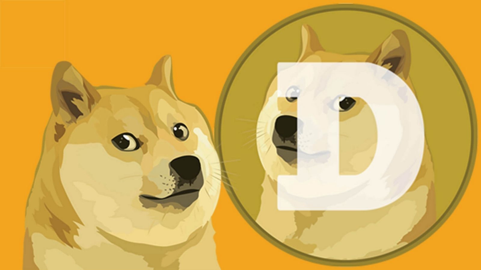 Курс Dogecoin за 6 днів впав на 40%
