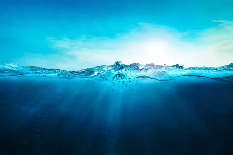 Вчені б’ють тривогу через потепління океану