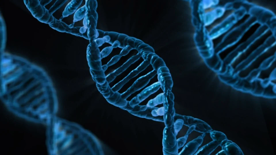 Вчені розкривають дивовижну роль довгих генів