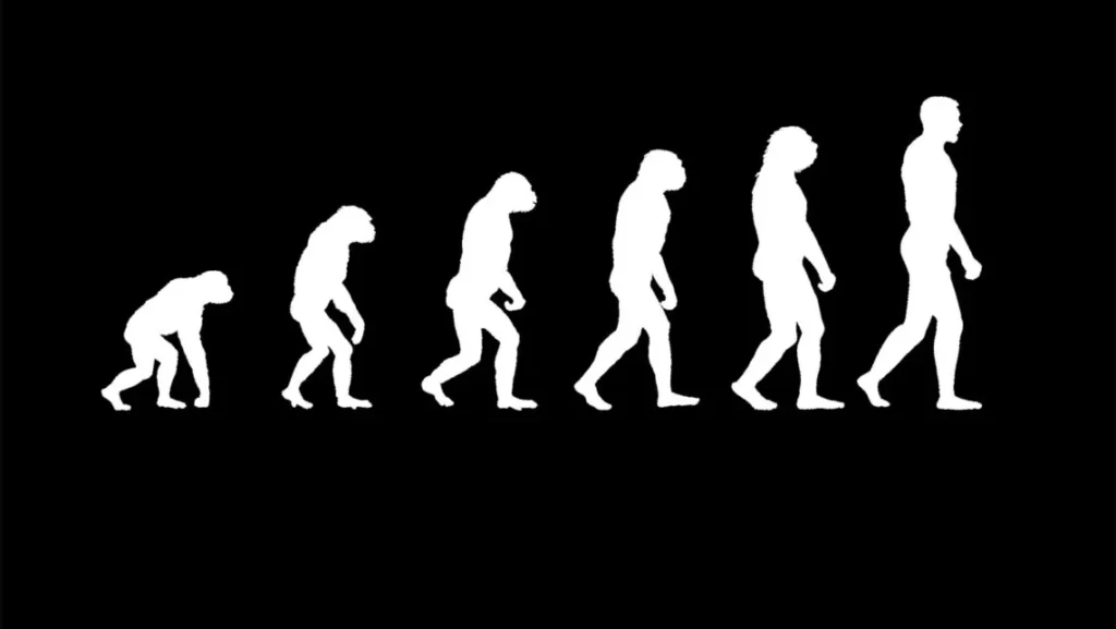 Вчені висунули гіпотезу, що люди еволюціонували як жуки, а не як хребетні