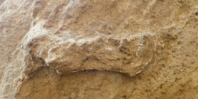 Вчені виявили найдавніші сліди Homo sapiens – їм 153 000 років