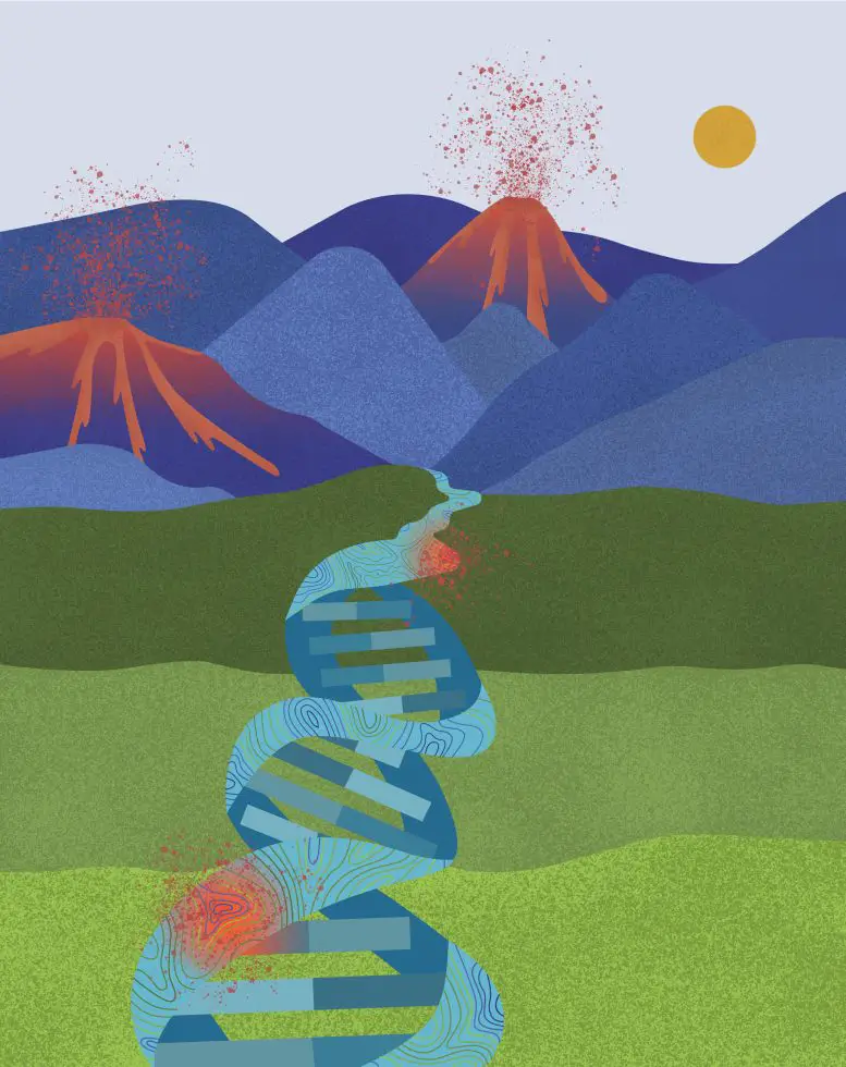Вчені виявили зв’язок між топографією геному людини та мутаціями раку