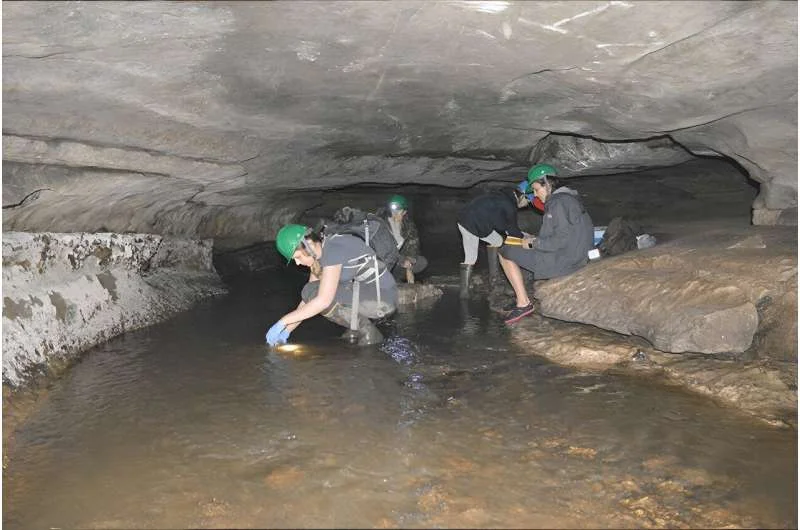 Вчені виявили високі концентрації мікропластику у печерній воді