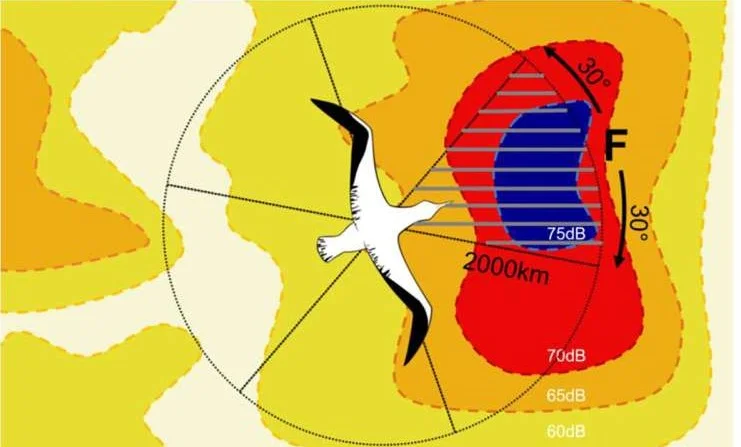 Вчені кажуть, що альбатроси використовують інфразвук для здійснення далеких подорожей
