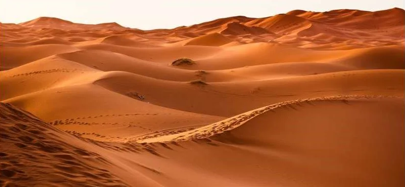 Пустеля Сахара колись була зеленою саваною: вчені пояснюють чому