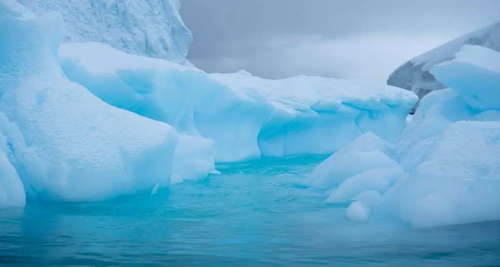 Таємниця величезного отвору в морському льоду Антарктики розгадана