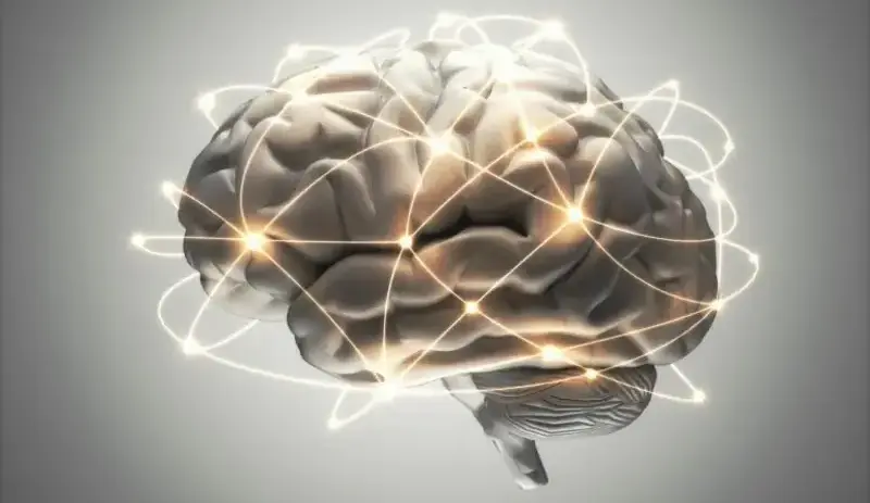 Вчені створили перший у світі 3D-друкований «фантом мозку»