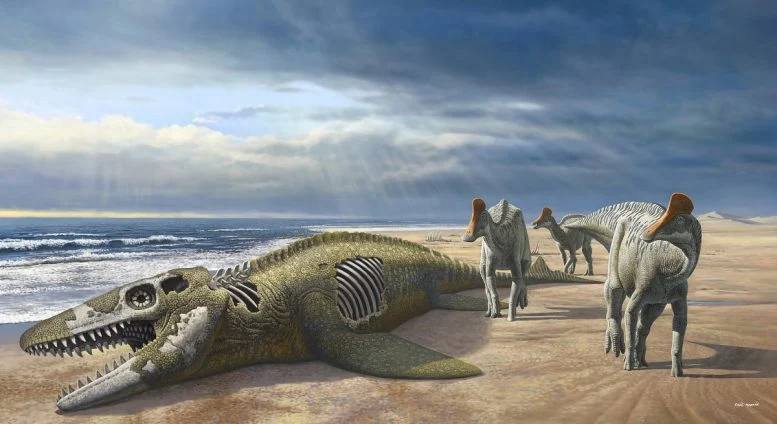 Вчені виявили дивні скам’янілості динозаврів-качкодзьобів у Марокко