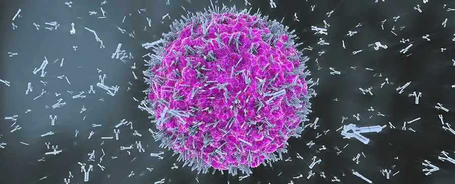 Вчені знайшли «перемикач», який зупиняє атаку імунної системи на здорові клітини