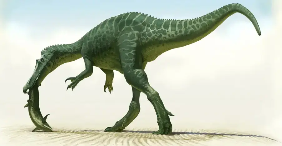 В Іспанії ідентифіковано новий вид динозаврів Spinosaurid