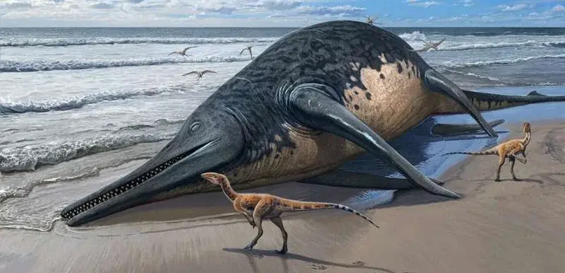 Нещодавно виявлений іхтіозавр може бути найбільшою морською рептилією в історії