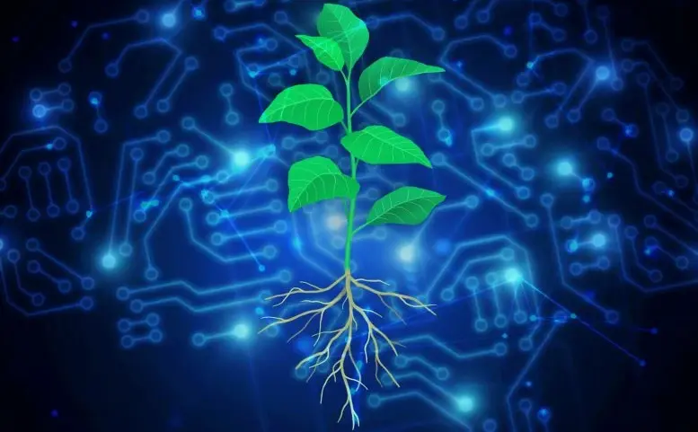 Вчені використовують ШІ для створення рослин, що поглинають вуглець