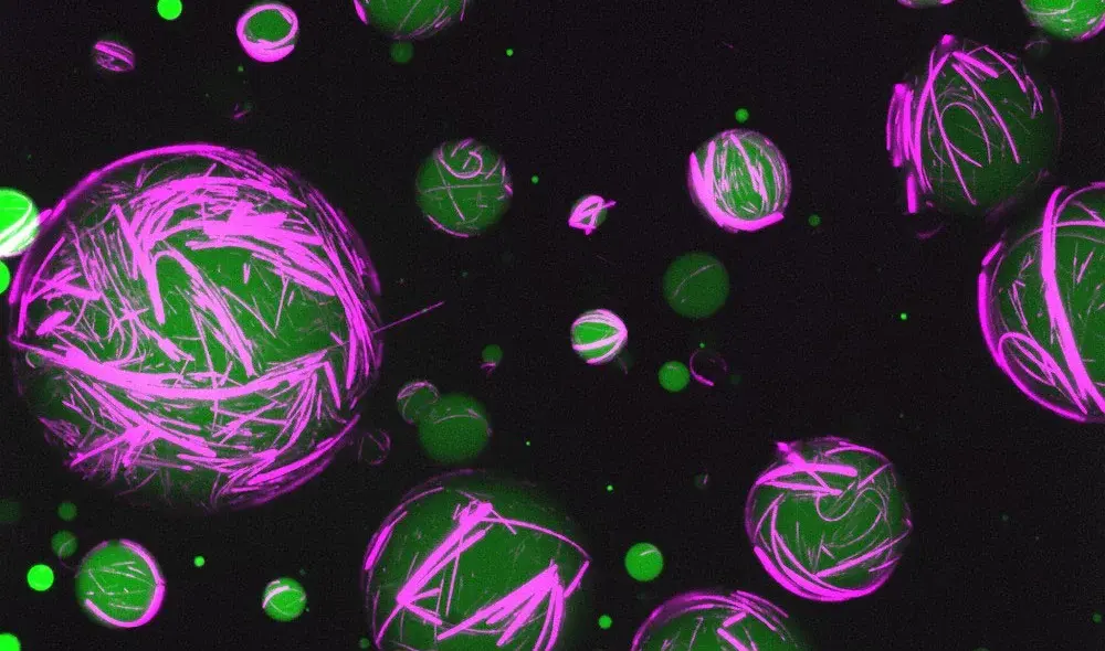 Вчені створили функціональні синтетичні клітини, які діють як справжні