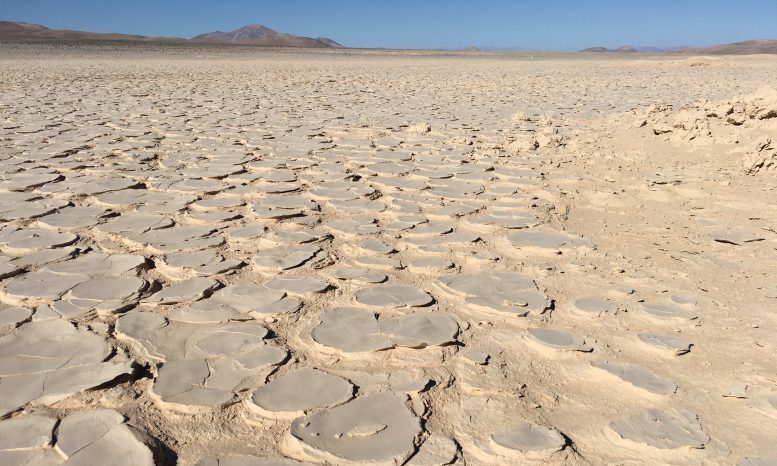 Дослідники виявили життя на глибині 13 футів під найнегостиннішою пустелею Землі