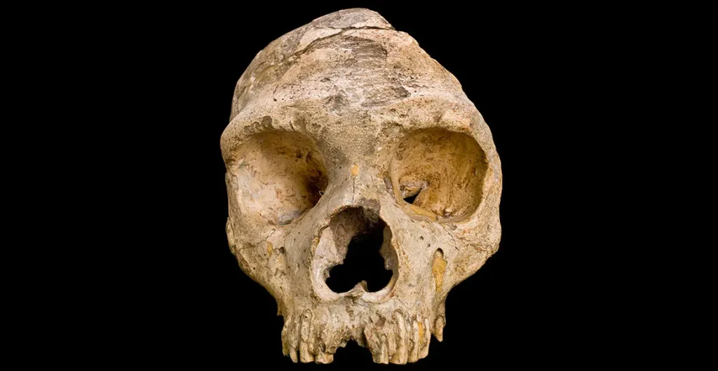 Вчені відтворили обличчя жінки-неандертальця, яка жила 75 000 років тому