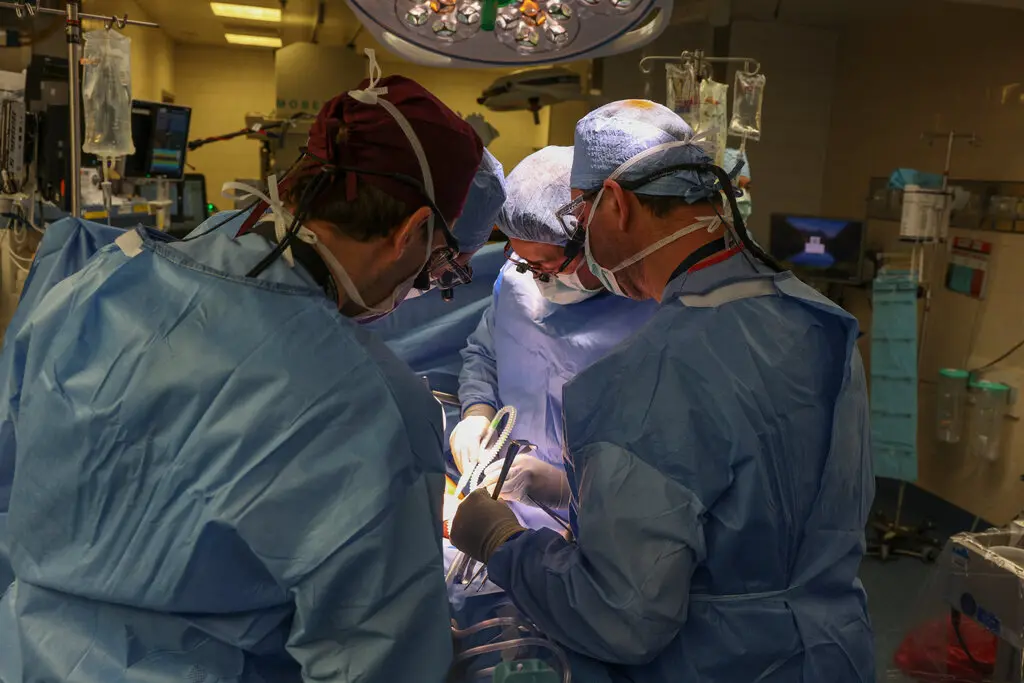 Пацієнт помер через кілька тижнів після трансплантації нирки від генетично модифікованої свині