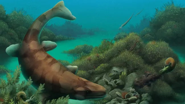 Jaws of 80-million-year-old sea monster discovered in Texas