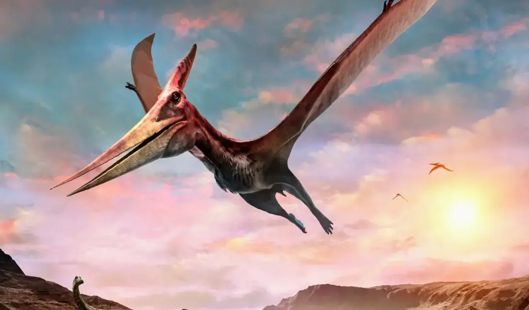 Scientists discover what helped early pterosaurs maintain stable flights