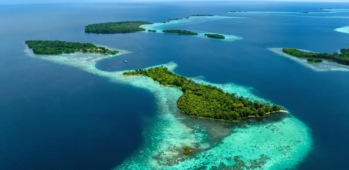 The world’s largest coral was found in the Solomon Islands