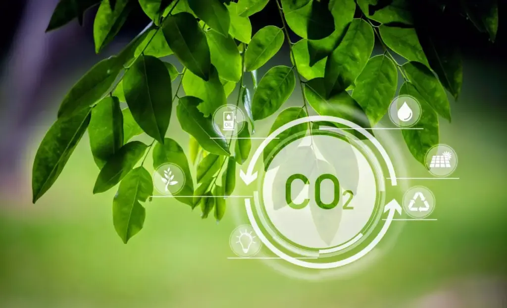 Вчені розкривають нові шляхи реакції CO2