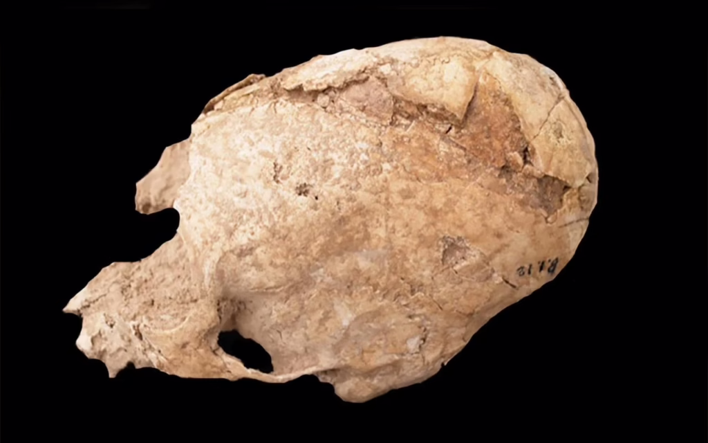 Древній череп неземної форми збентежив археологів у Ірані