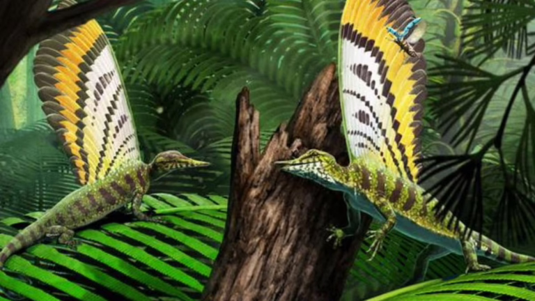 Вчені знайшли рептилію з перистою шкірою