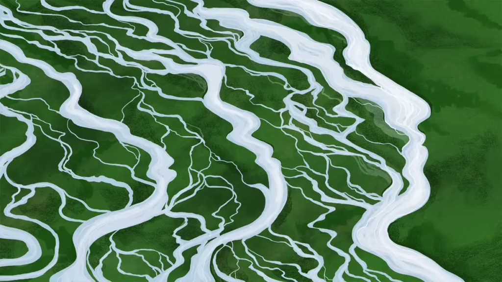 Вчені пропонують нову метафору еволюції людини