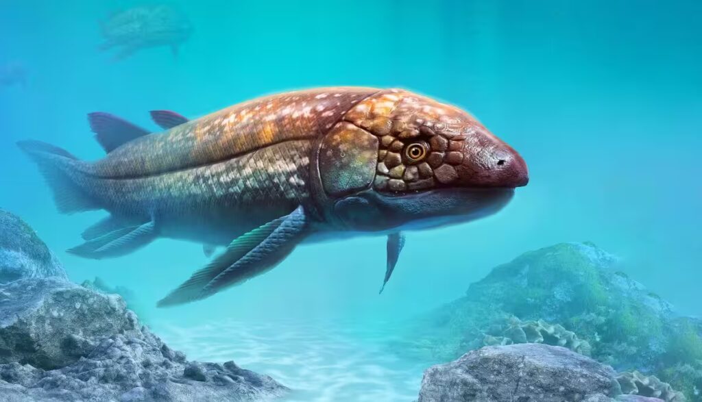 Еволюція щелеп риб проклала шлях наземним хребетним