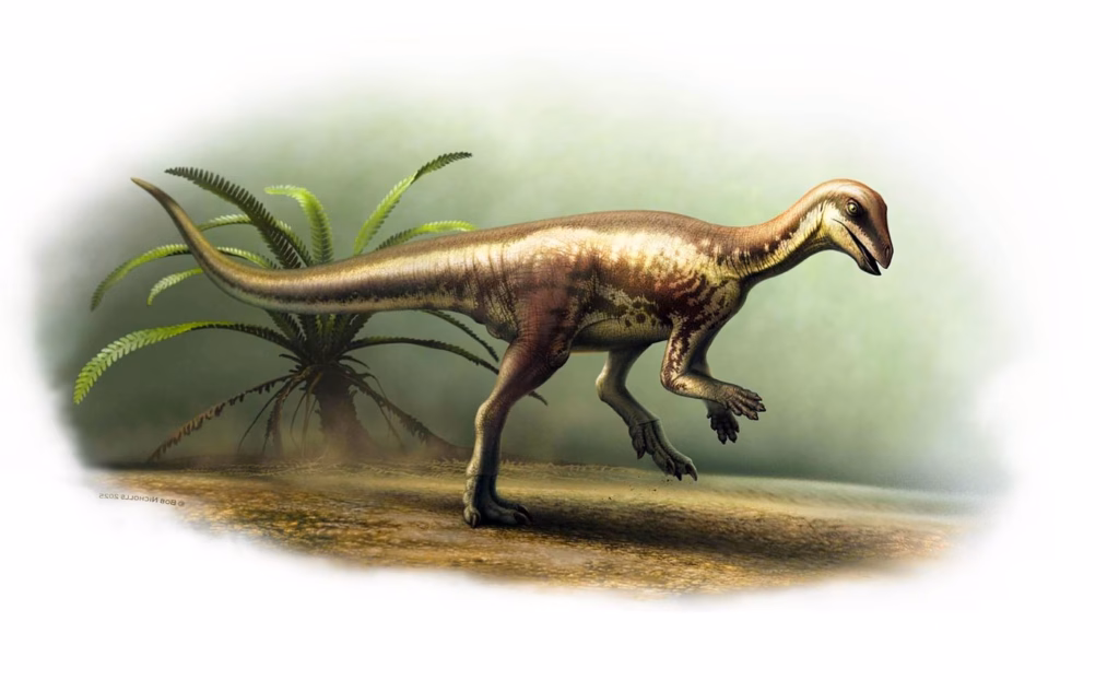 Динозавр розміром із домашню кішку знайдений у Колорадо