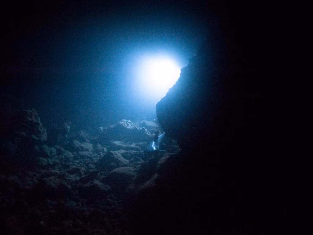 Вчені відкрили нового хижака в найглибших водах планети