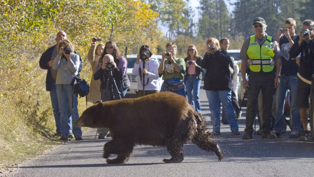 Посухи поглиблюють конфлікти між людьми та дикою природою