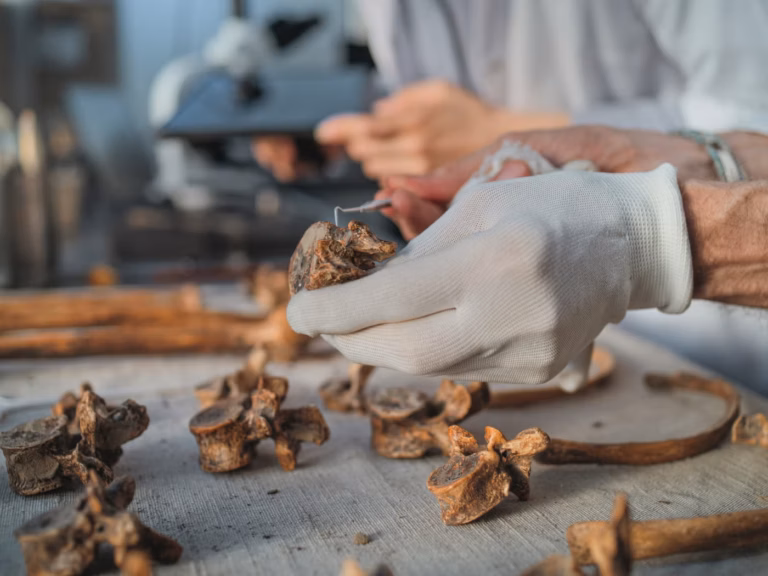 Вчені проаналізували давню ДНК і виявили існування загубленої спільноти