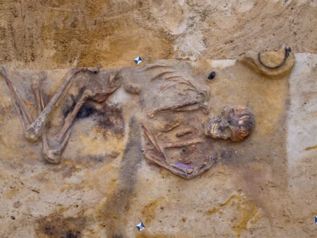 Вчені проаналізували геноми давньої культури та переписали історію Європи