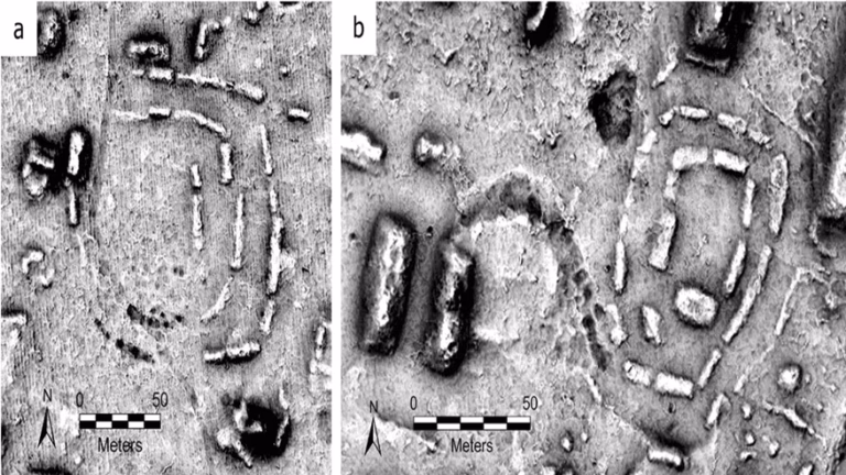 Вчені виявили стародавній ринок у новій формі майянської архітектури