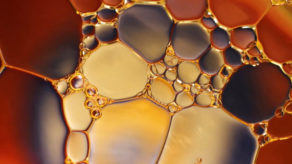 Вчені розкрили несподіваний бік двох найважливіших речей у нашому житті