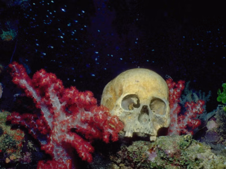 Під водою знайдено людські рештки віком 8 тисяч років