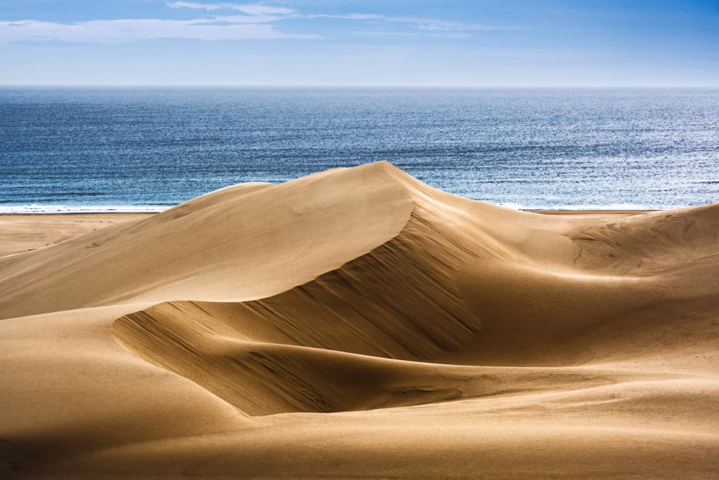 Golden coastal dunes under a clear sky with a gentle sea breeze, where the sand meets the ocean.